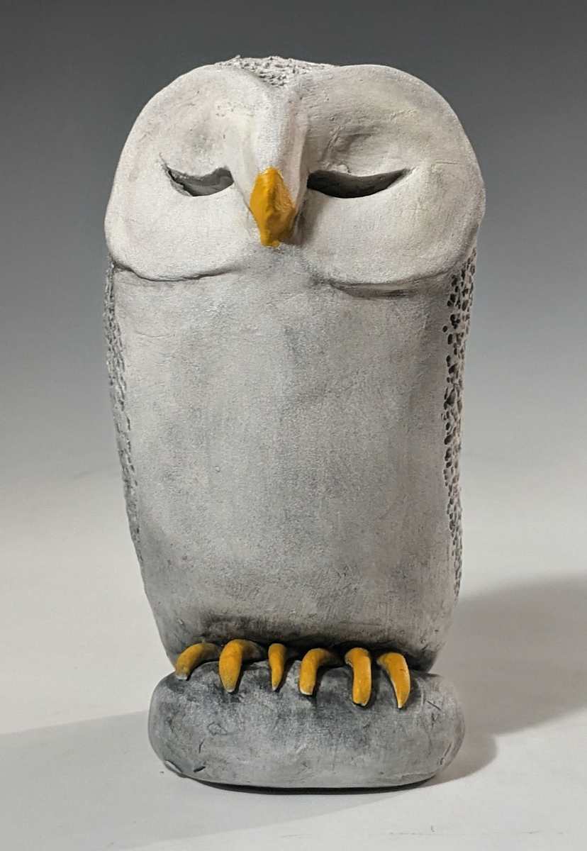 Sleeping Owl by Nancy Jakubowski 