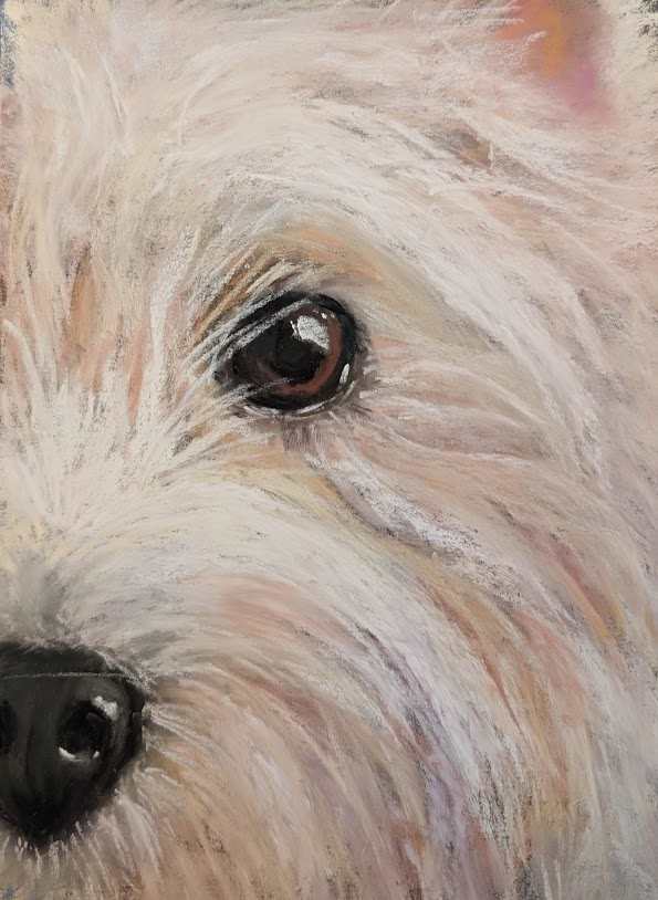 I've Got A Secret by Grace Newcomer 