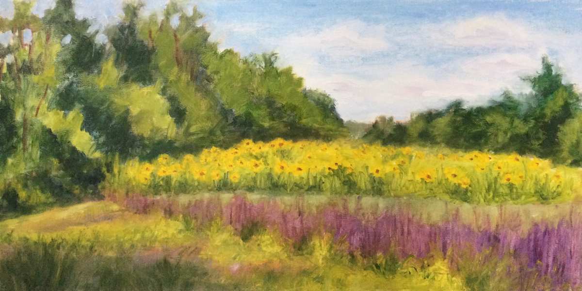Poolesville Sunflowers by Barbara Mandel 