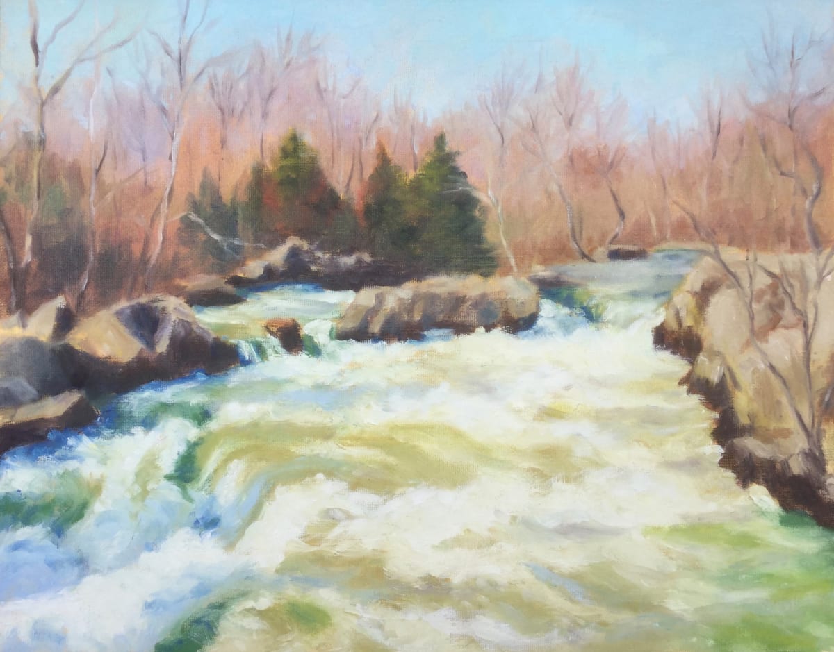 Potomac River Rushing Waters by Barbara Mandel 