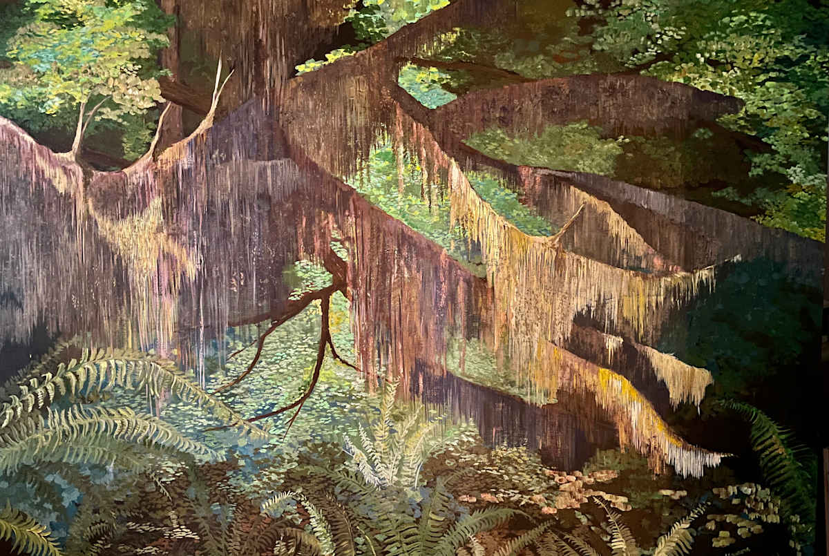 Rain Forest by Dave Allen 