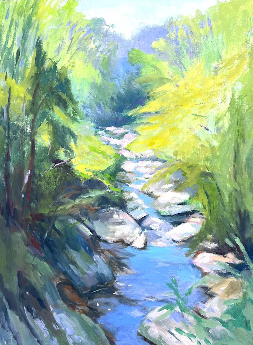 Ravine by Jennifer Howard 