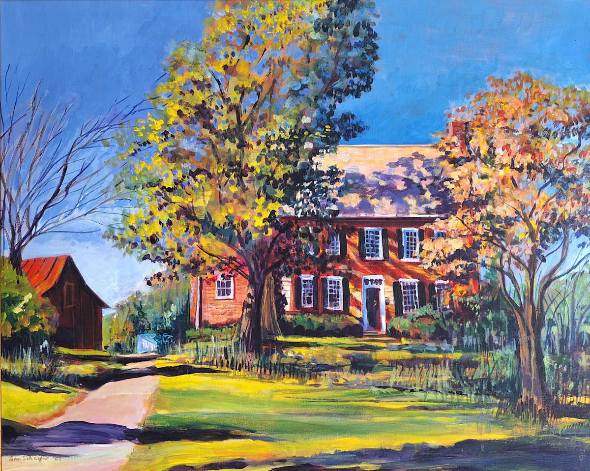 Chiswell's Inheritance by Ann Schaefer 