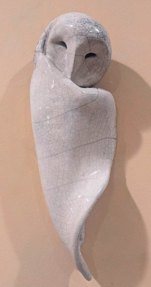 Sleeping Owl by Nancy Jakubowski 