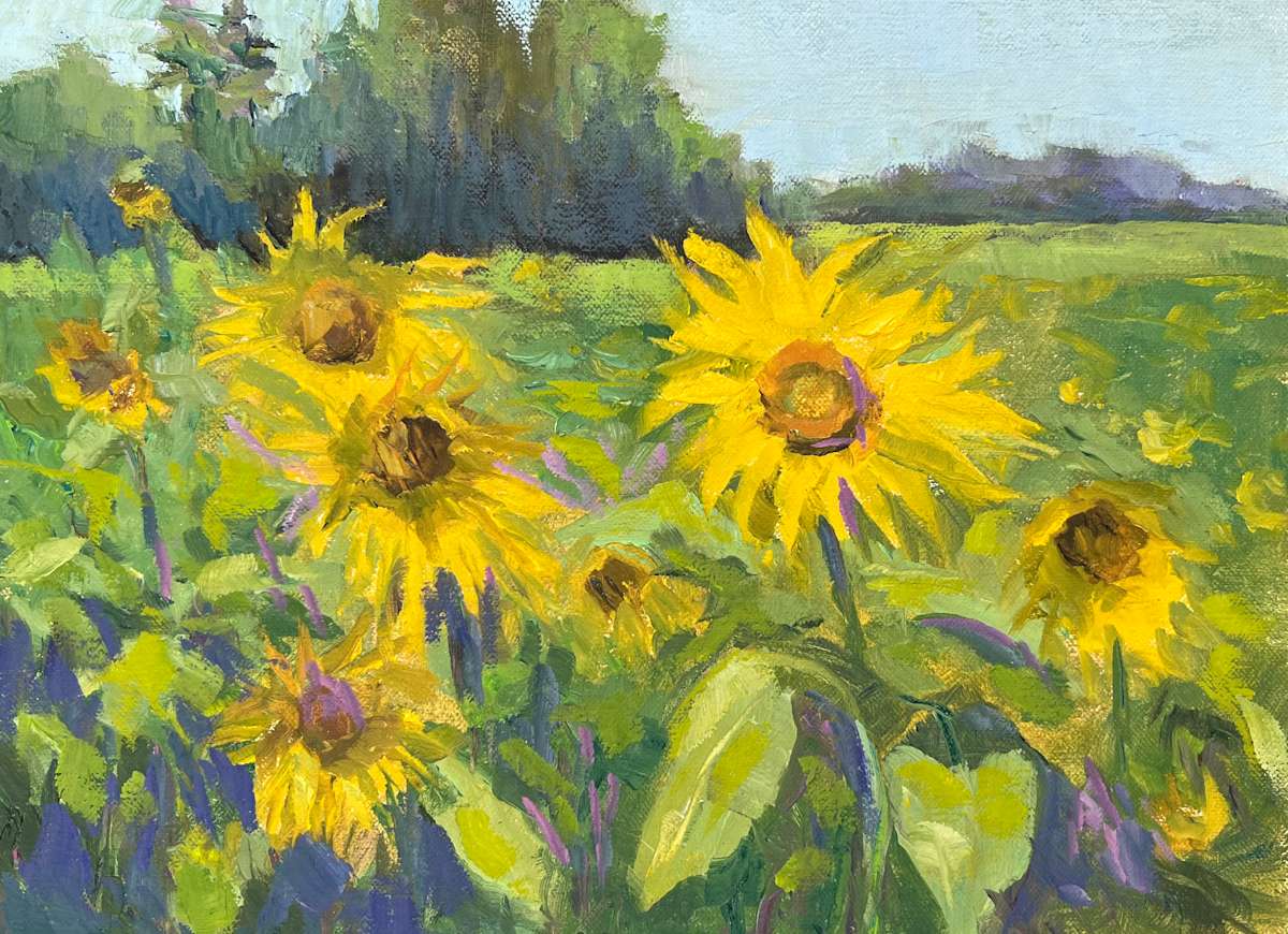 Summer Field by Jennifer Howard 