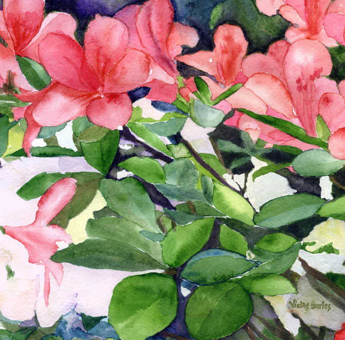 Azaleas by Vicky Surles 