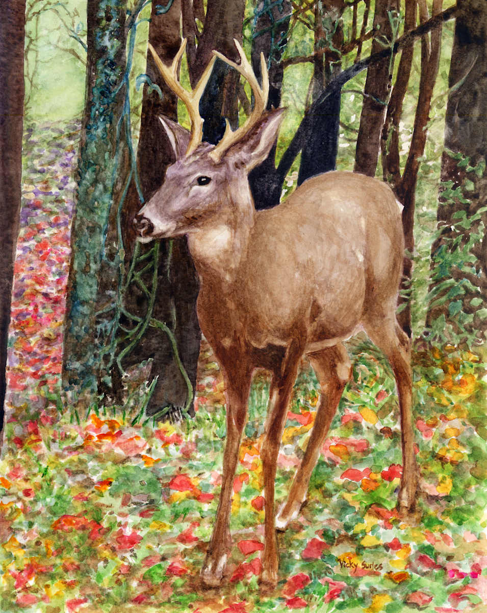 December Deer by Vicky Surles, Image 1.