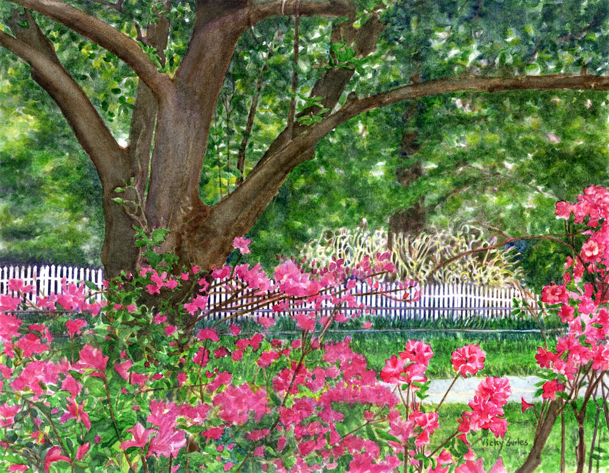 View from Clum-Kennedy Park by Vicky Surles 
