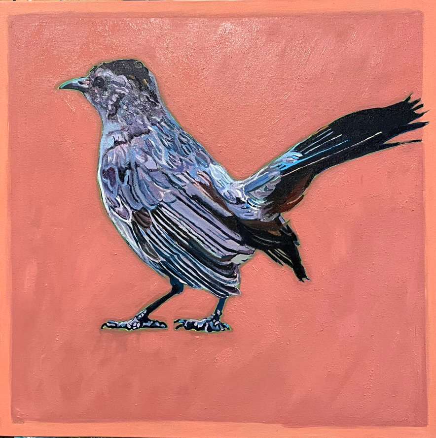 Cat Bird on Salmon Field by Jamie Downs 