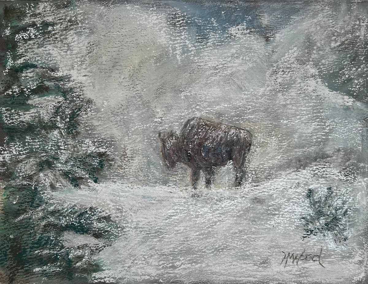 Yellowstone Winter by Helen Wood 