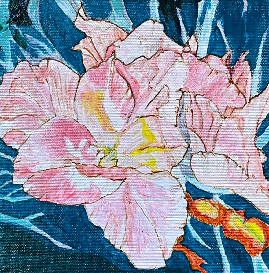 Gladiolus Miniature by Jamie Downs 