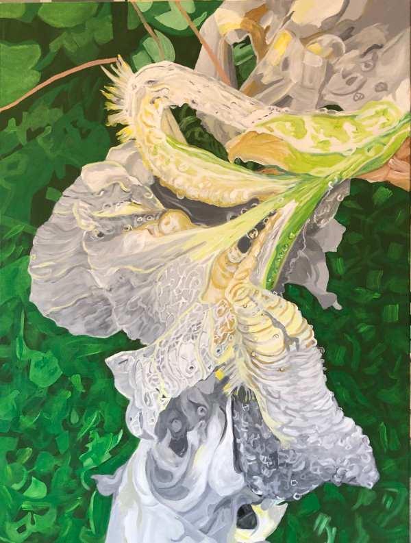 Iris after the Rain by Jamie Downs, Image 1.