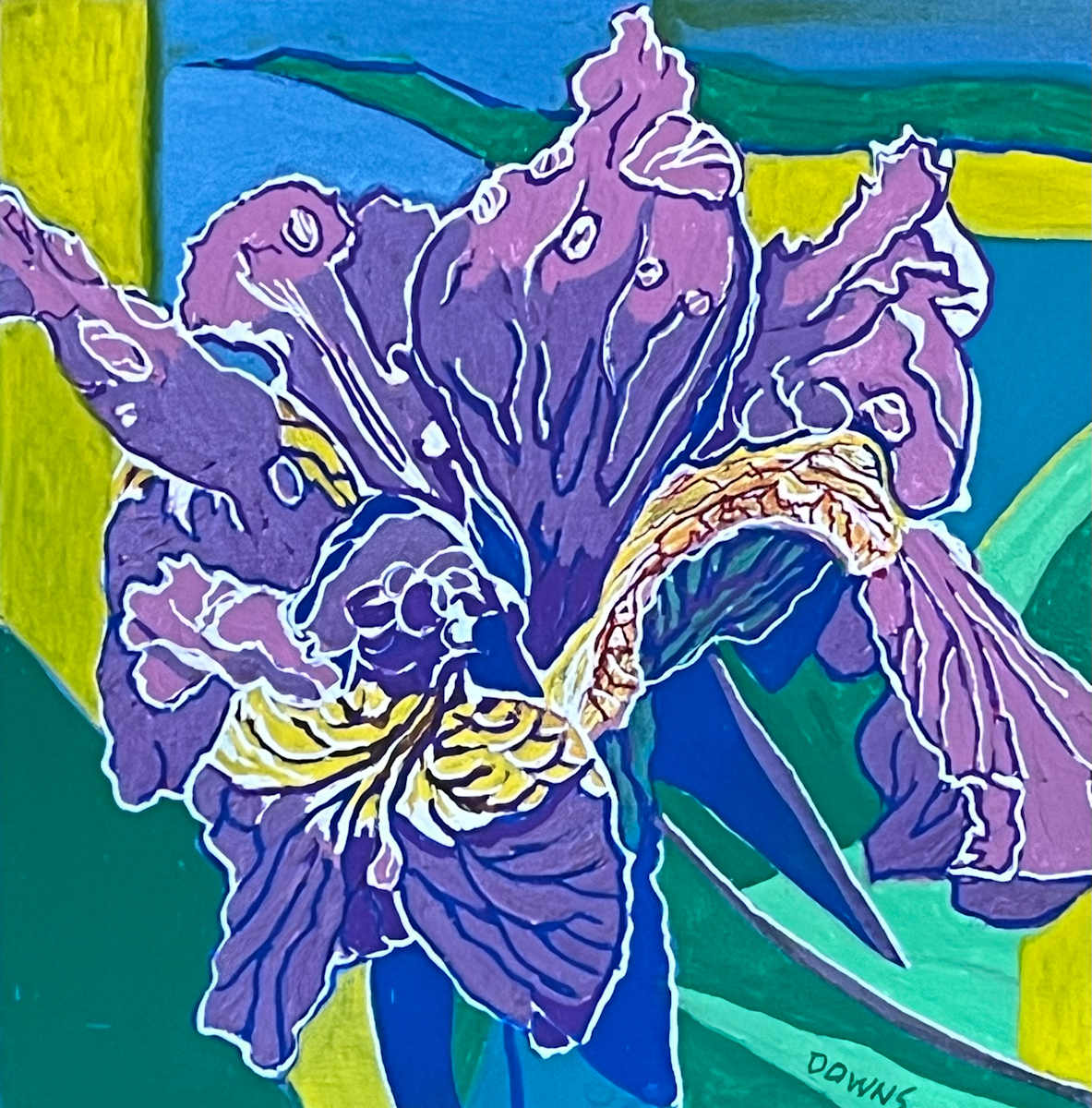 Purple Iris Miniature by Jamie Downs 