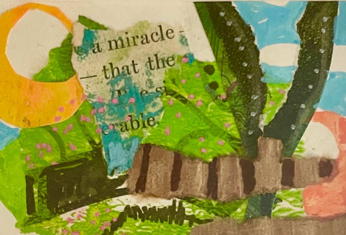 Miracle by Gail Kaplan-Wassell 