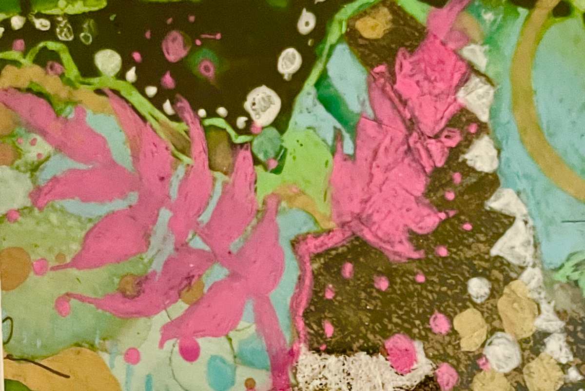 PInk Ferns by Gail Kaplan-Wassell, Image 1.