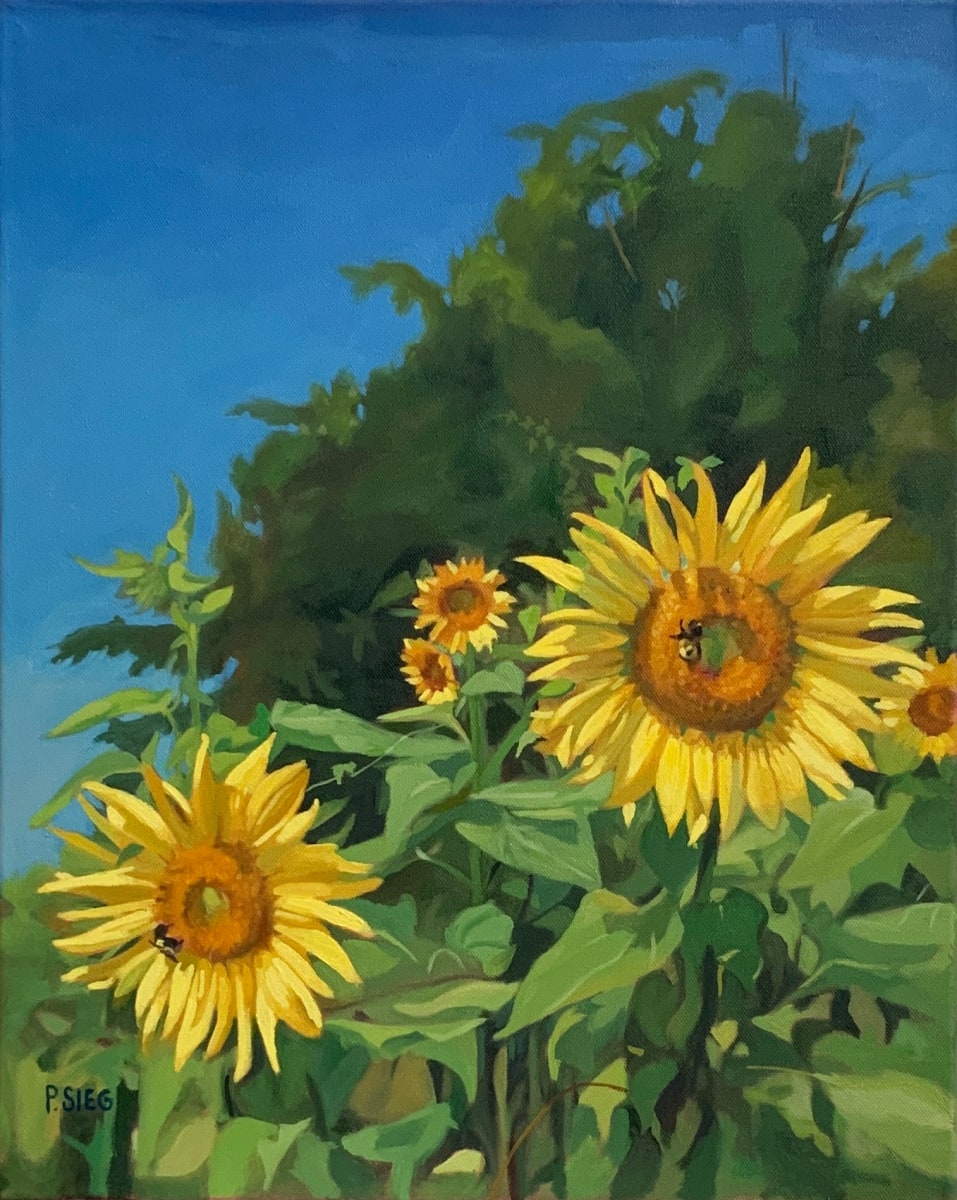 Two Bees, Five Sunflowers by Patrick Sieg 
