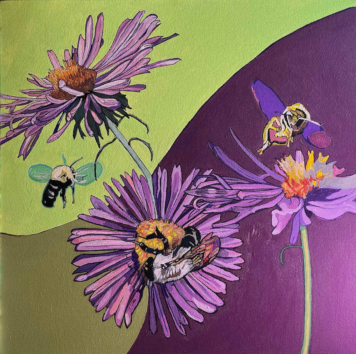Three Bees on Asters by Jamie Downs 