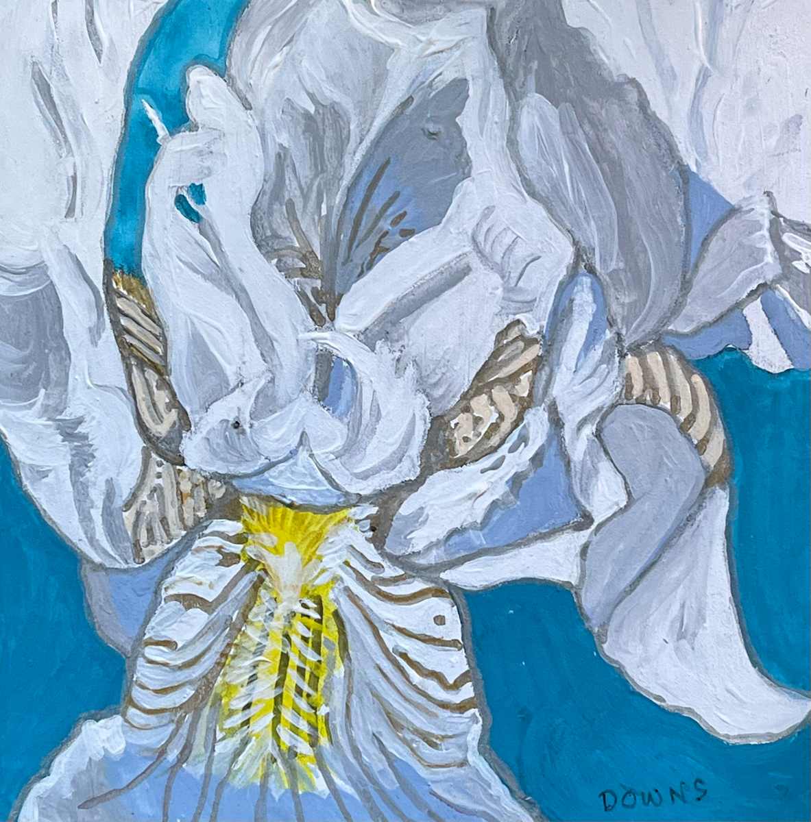 White Iris Miniature by Jamie Downs 