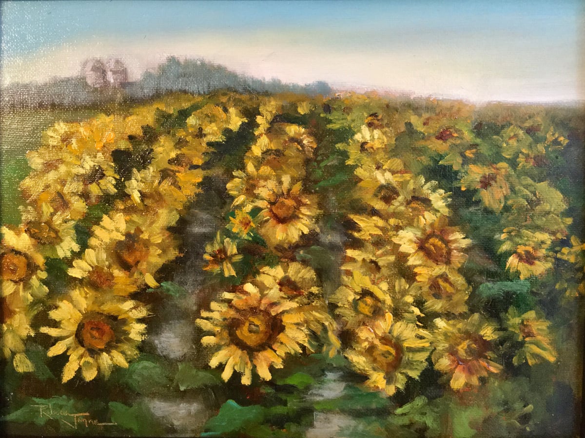 Fields of Sunshine 