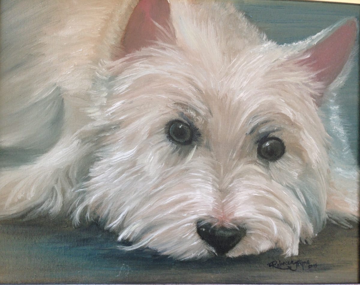 Miss Izzy, Image 1.