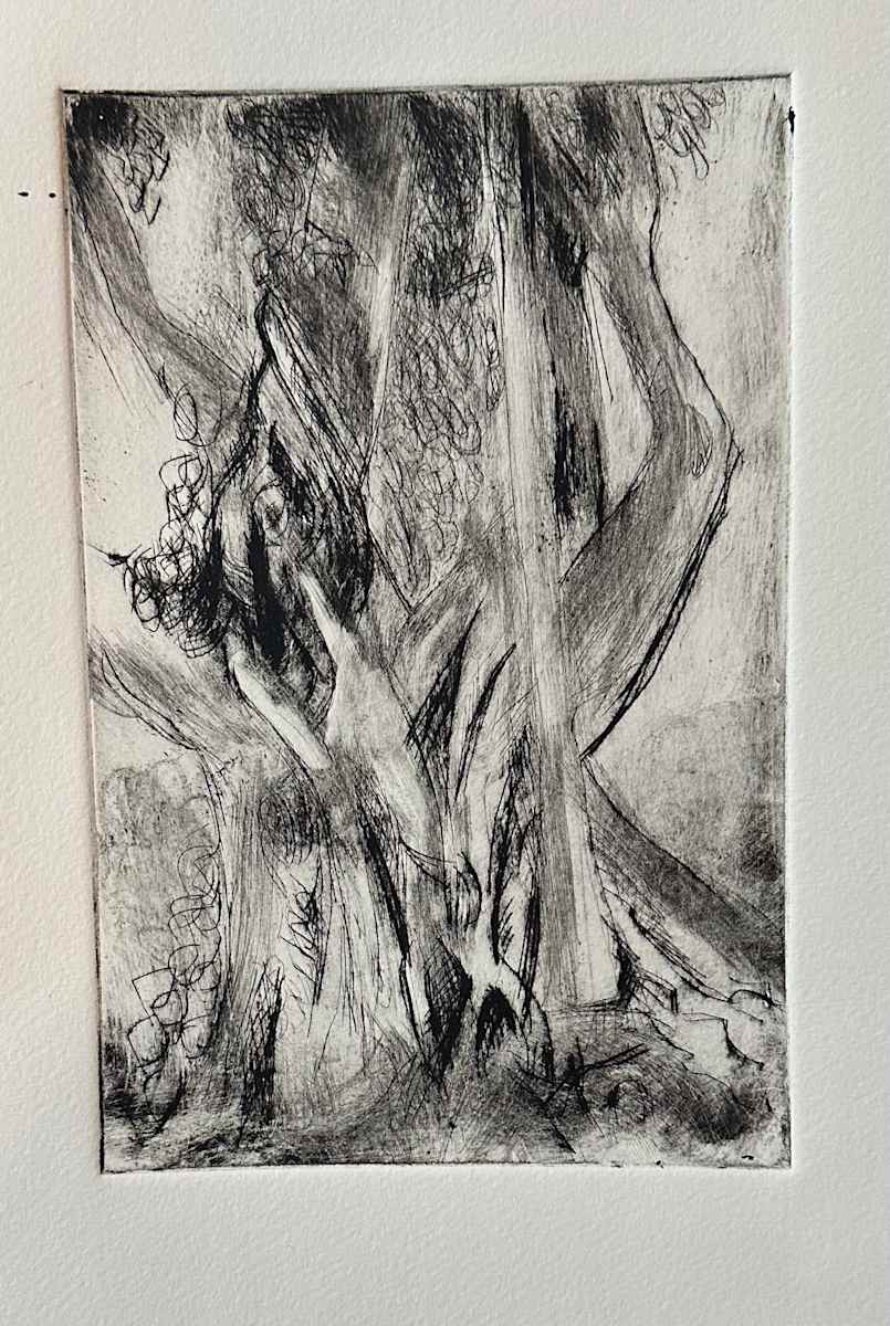 Banyan Etching by Cindy Rivarde 