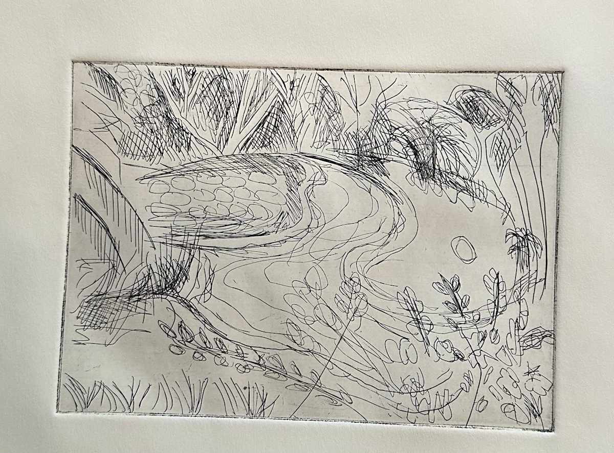 Pond by Cindy Rivarde 