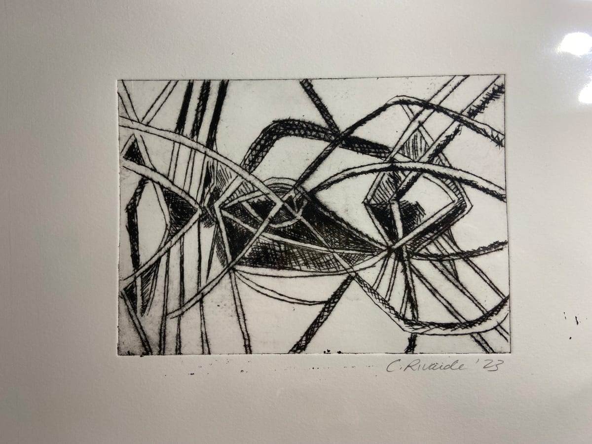 Drypoint Mangrove by Cindy Rivarde 