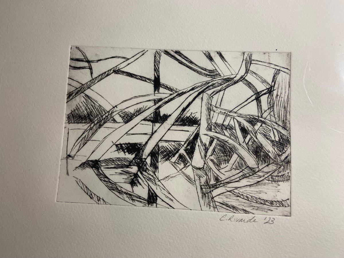 Mangrove drypoint by Cindy Rivarde 