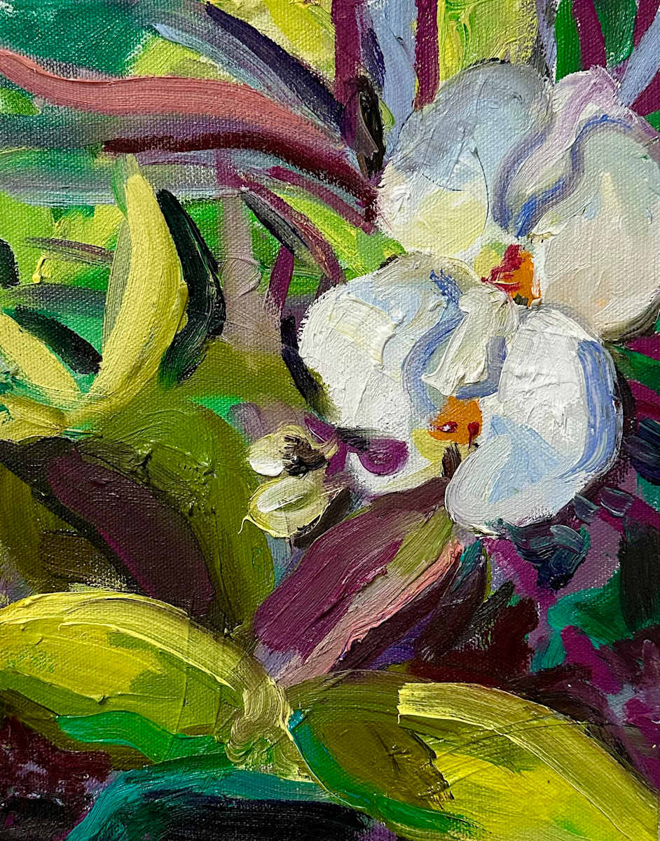 Orchid for Gail by Cindy Rivarde 