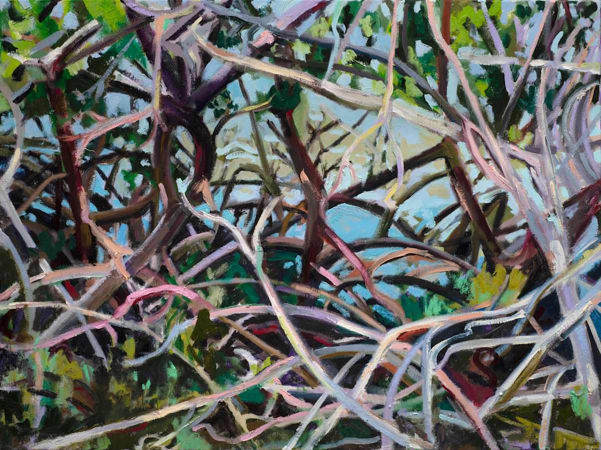 Mangroves in Naples by Cindy Rivarde 