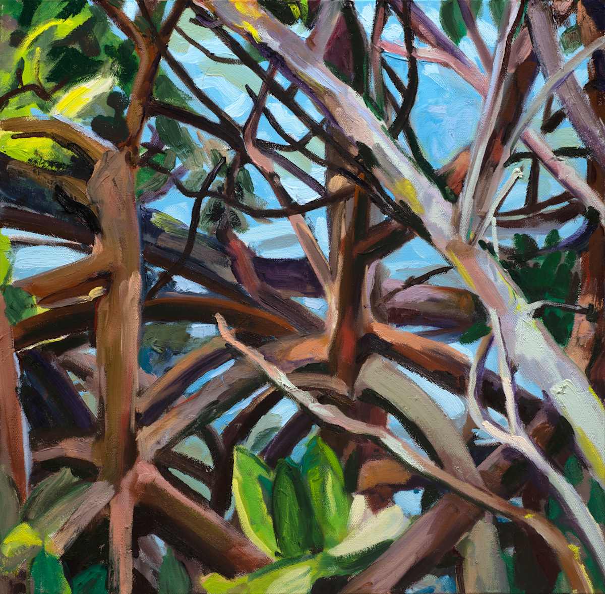 More Mangroves by Cindy Rivarde 
