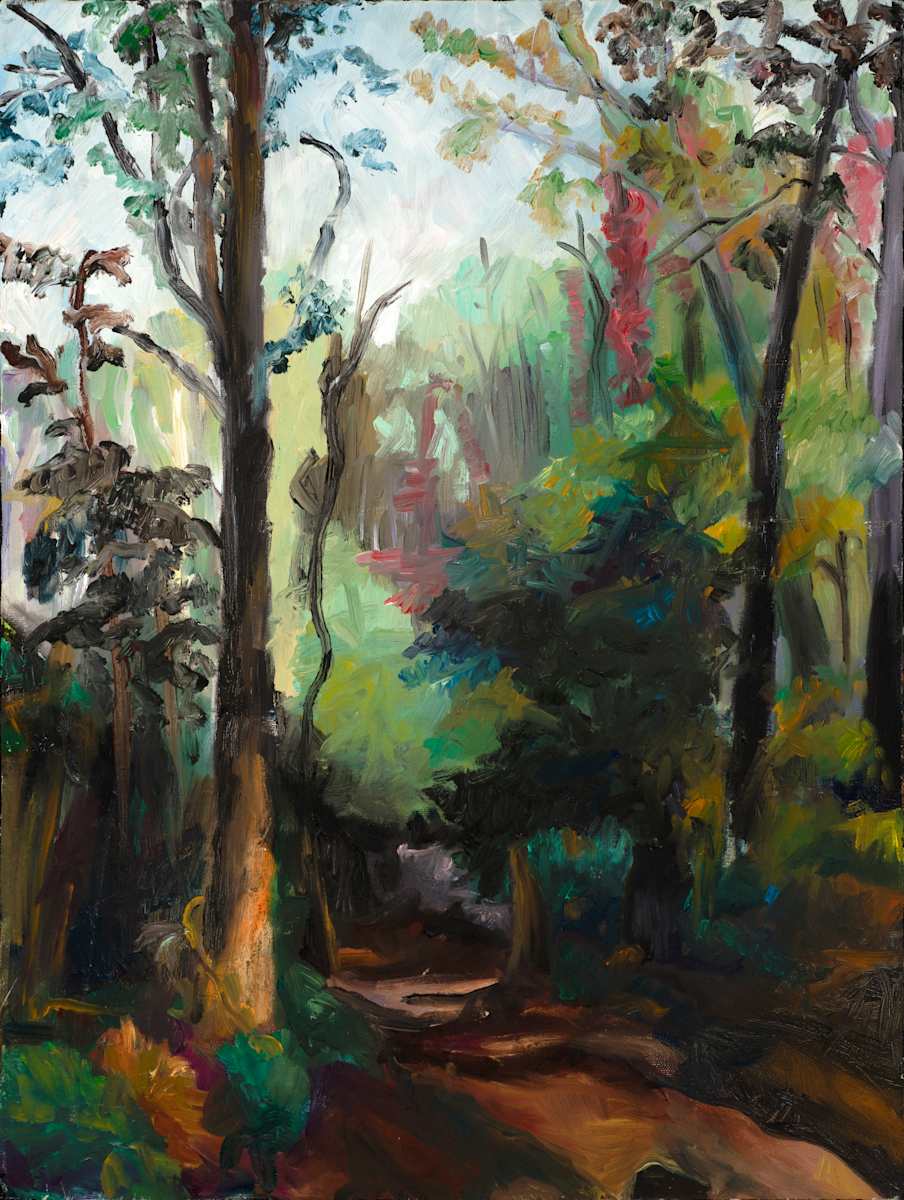 Ohio Woods by Cindy Rivarde 