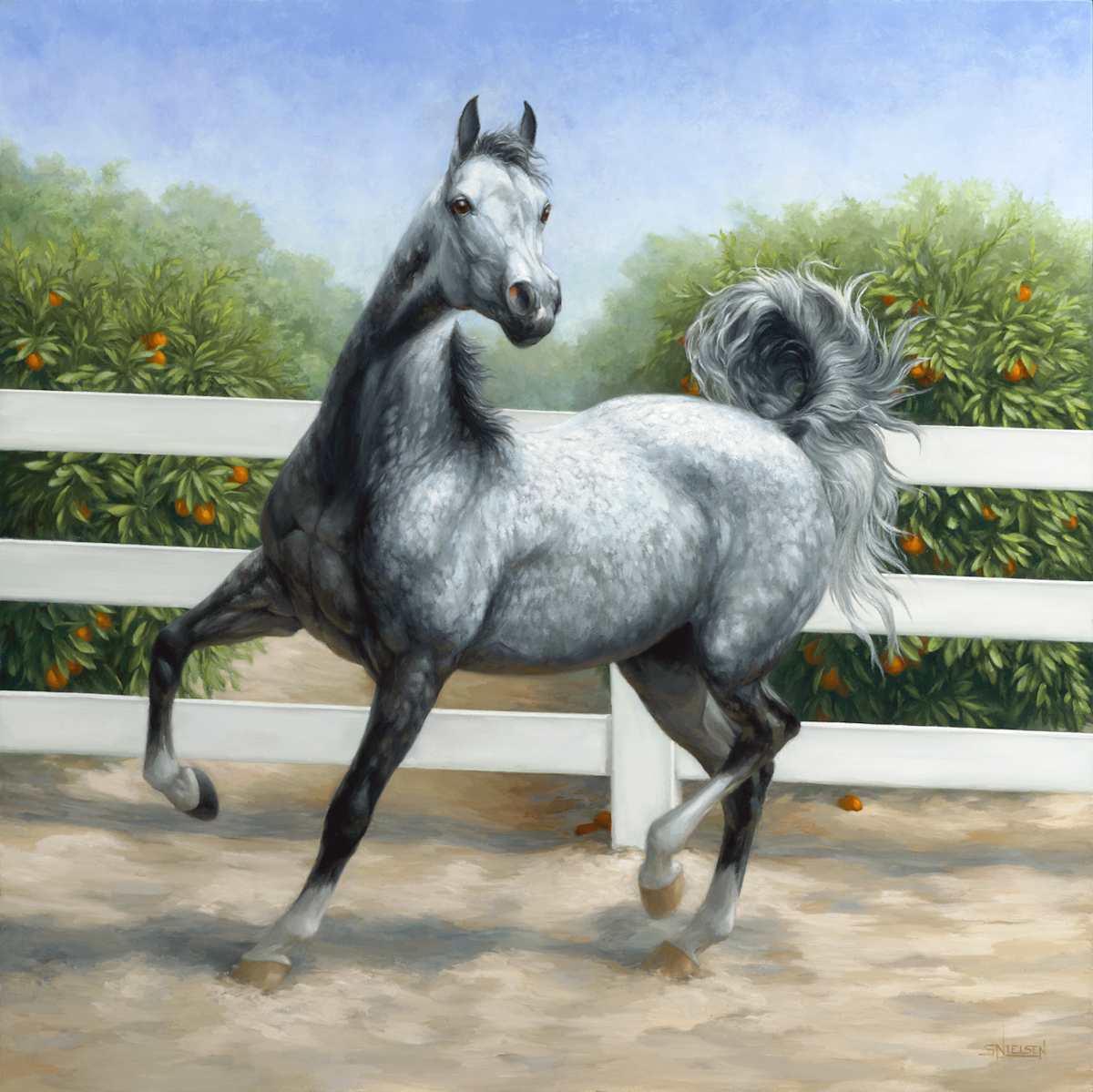 Fiona–First Encounter by Sherrie Nielsen 