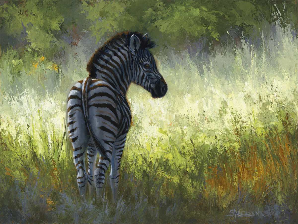 Zebra Foal by Sherrie Nielsen 