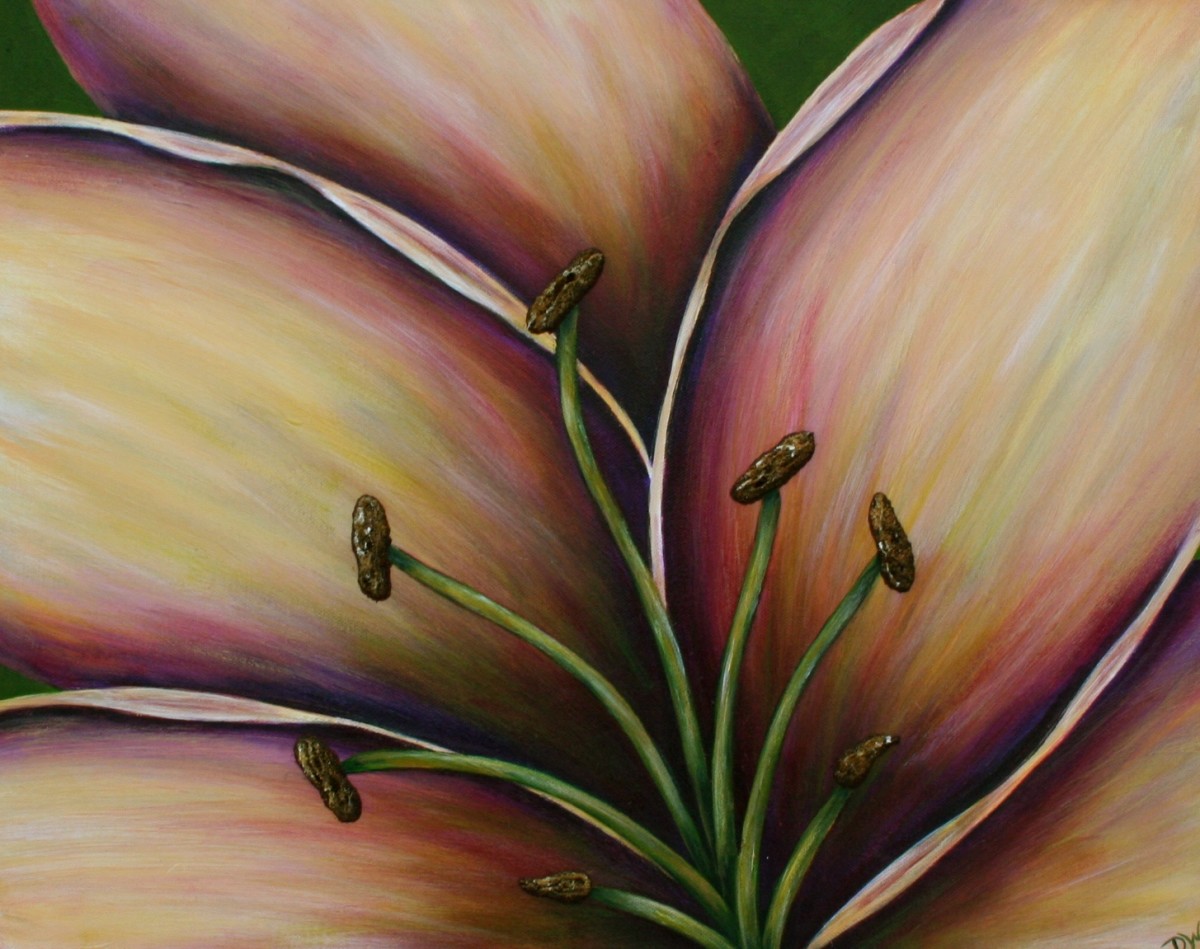 Buttercream Lily 16 x 20 (19 x 23 framed) by Denise Cassidy Wood 