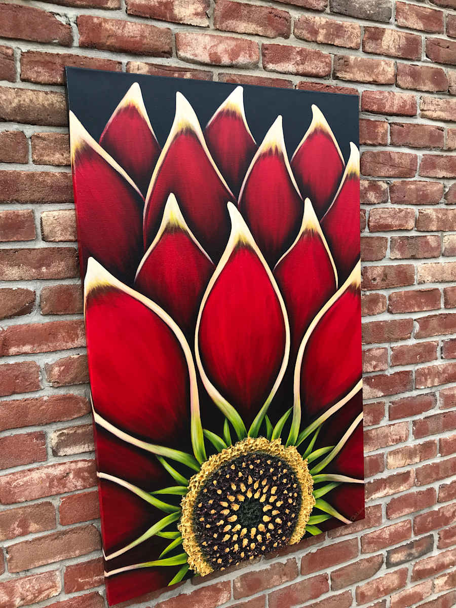 Red Dahlia #567 by Denise Cassidy, Image 1.