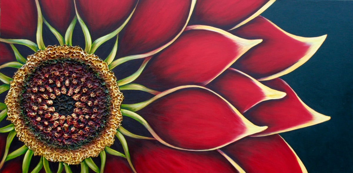 Wild Gazania by Denise Cassidy, Image 1.