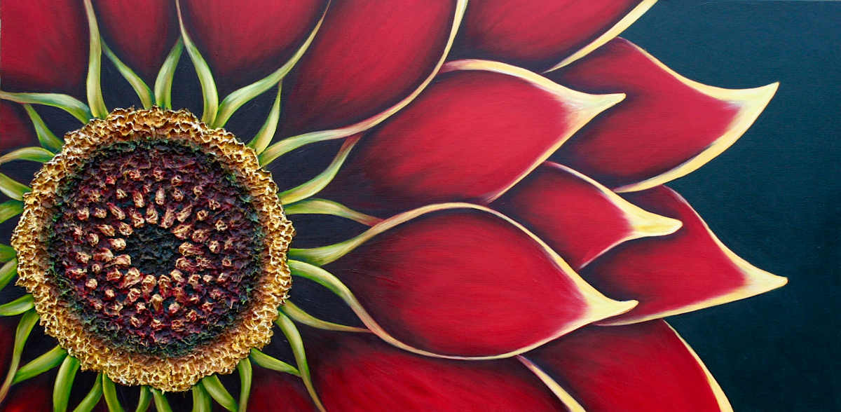 Wild Gazania by Denise Cassidy, Image 1.