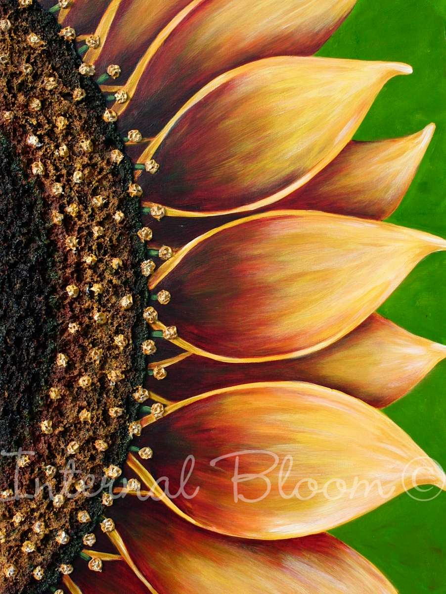 Sunflower by Denise Cassidy, Image 1.