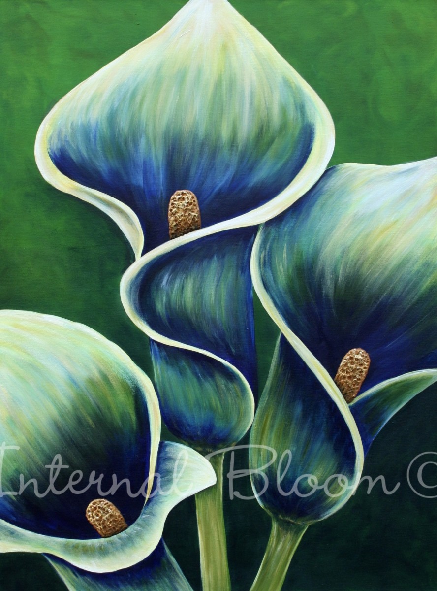 Lily Envy by Denise Cassidy, Image 1.
