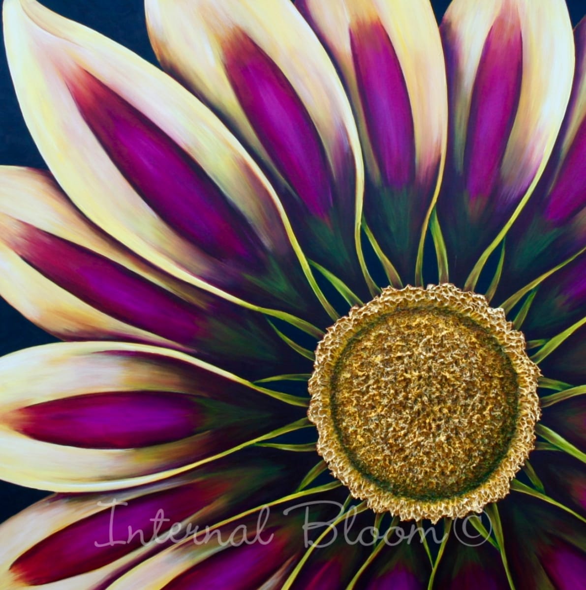 Gazania by Denise Cassidy Wood 