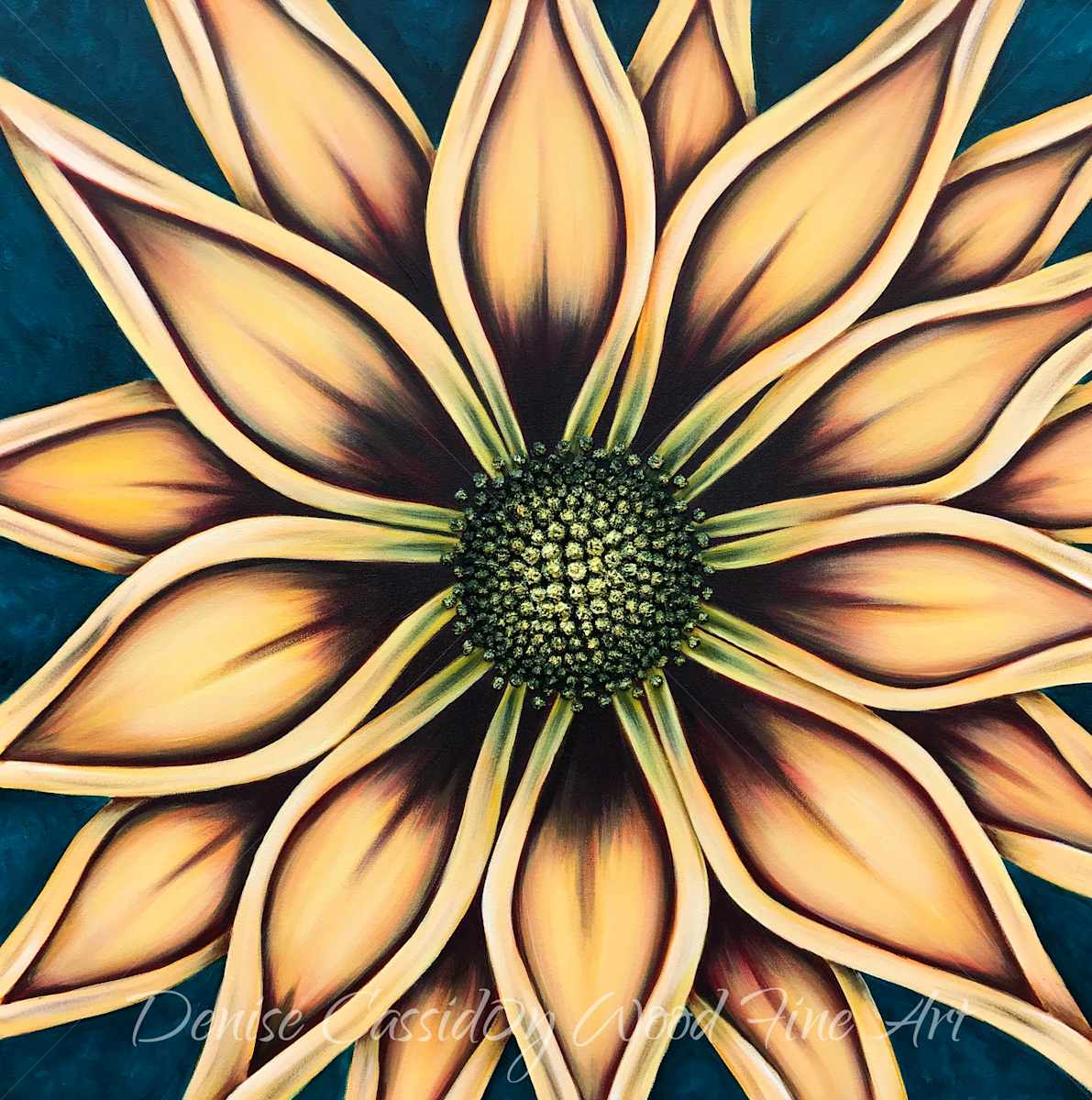 Yellow Gazania #584 by Denise Cassidy, Image 3.