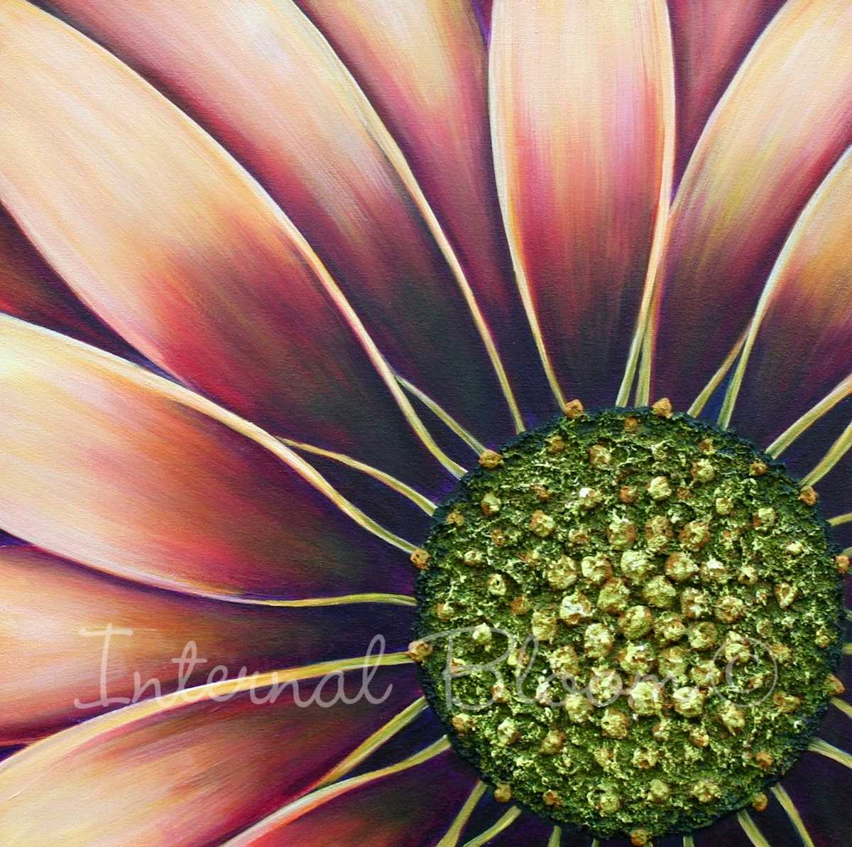 Golden Gazania by Denise Cassidy, Image 2.