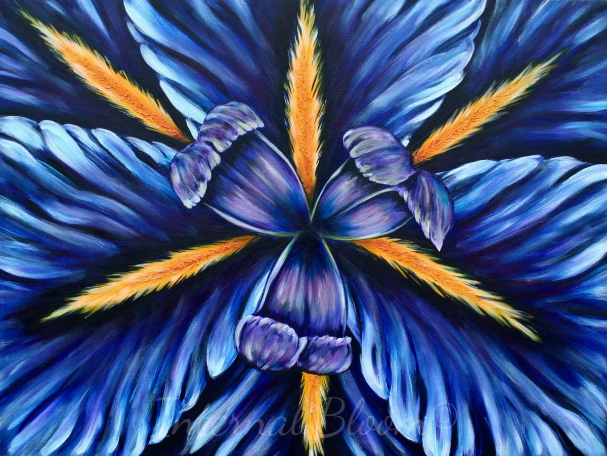 Kaleidoscope Iris by Denise Cassidy, Image 1.