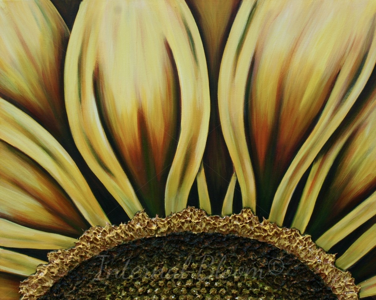 Sunflower Sunrise by Denise Cassidy Wood 