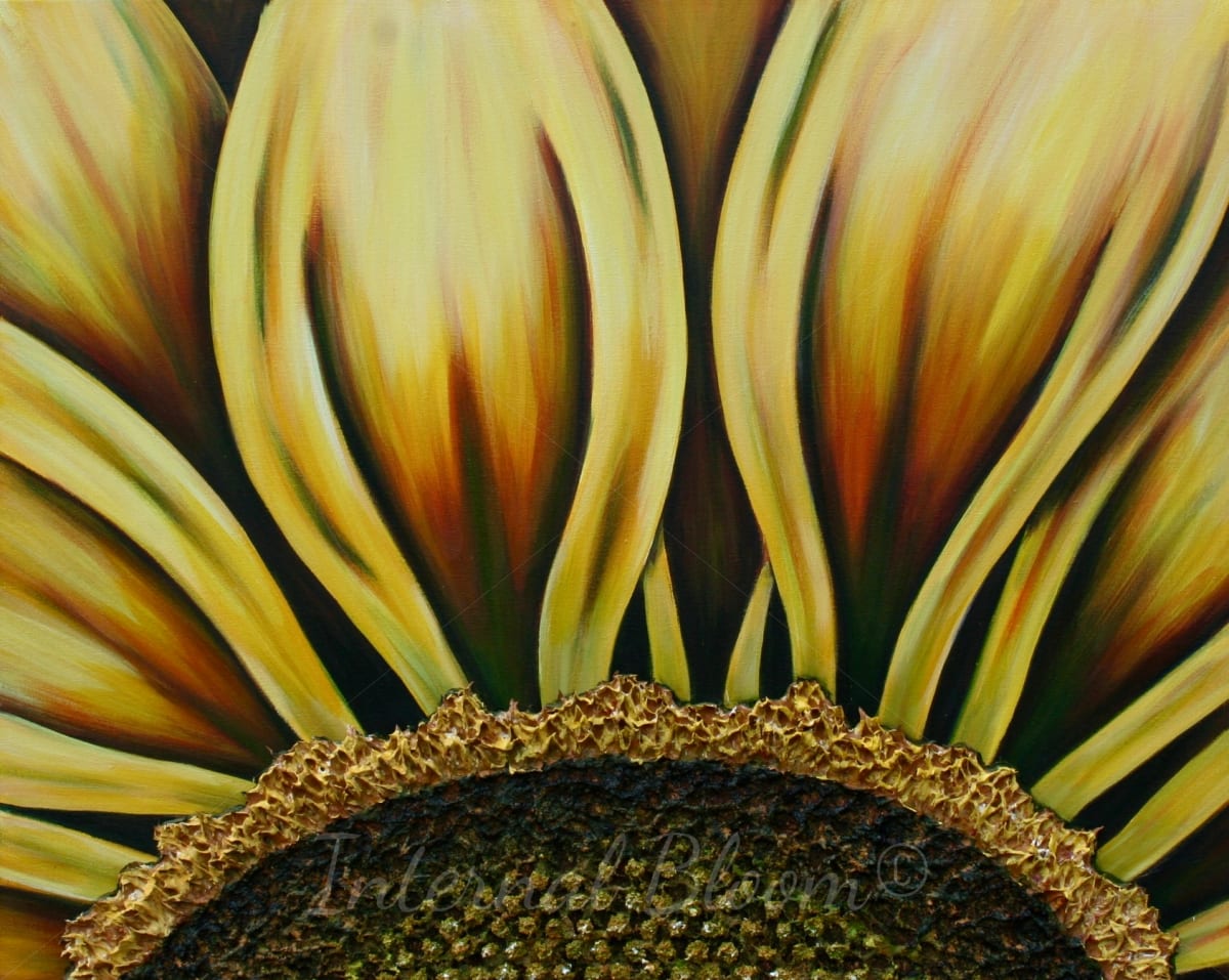Sunflower Sunrise by Denise Cassidy, Image 1.