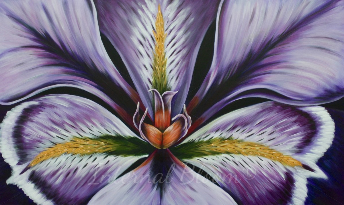 Iris by Denise Cassidy Wood 