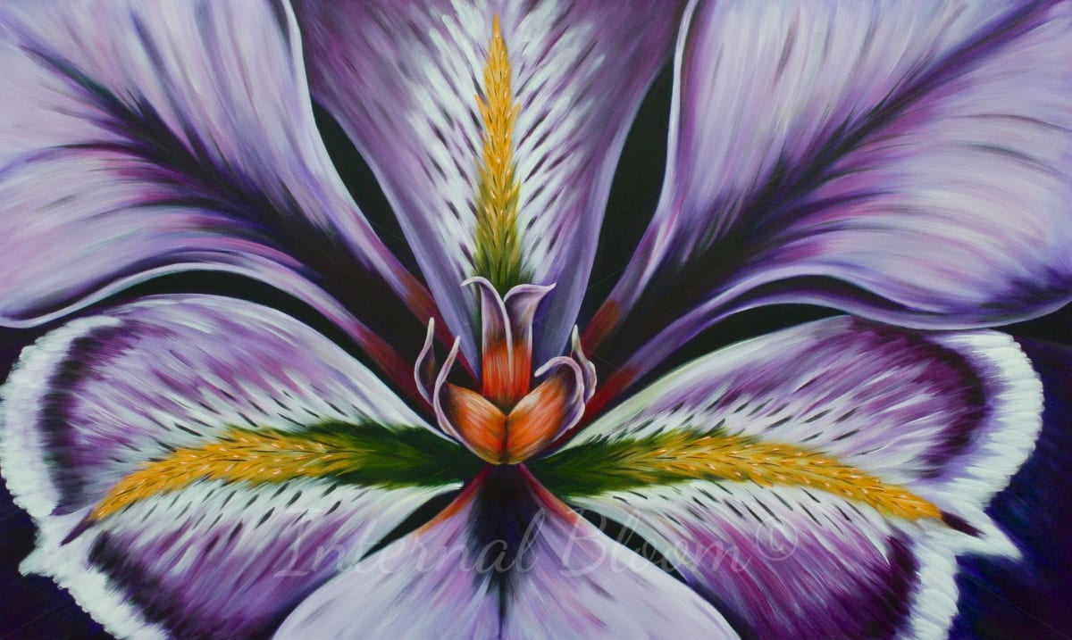 Iris by Denise Cassidy, Image 1.