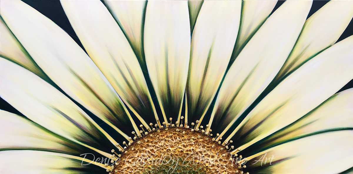 White Gazania #593 by Denise Cassidy, Image 2.