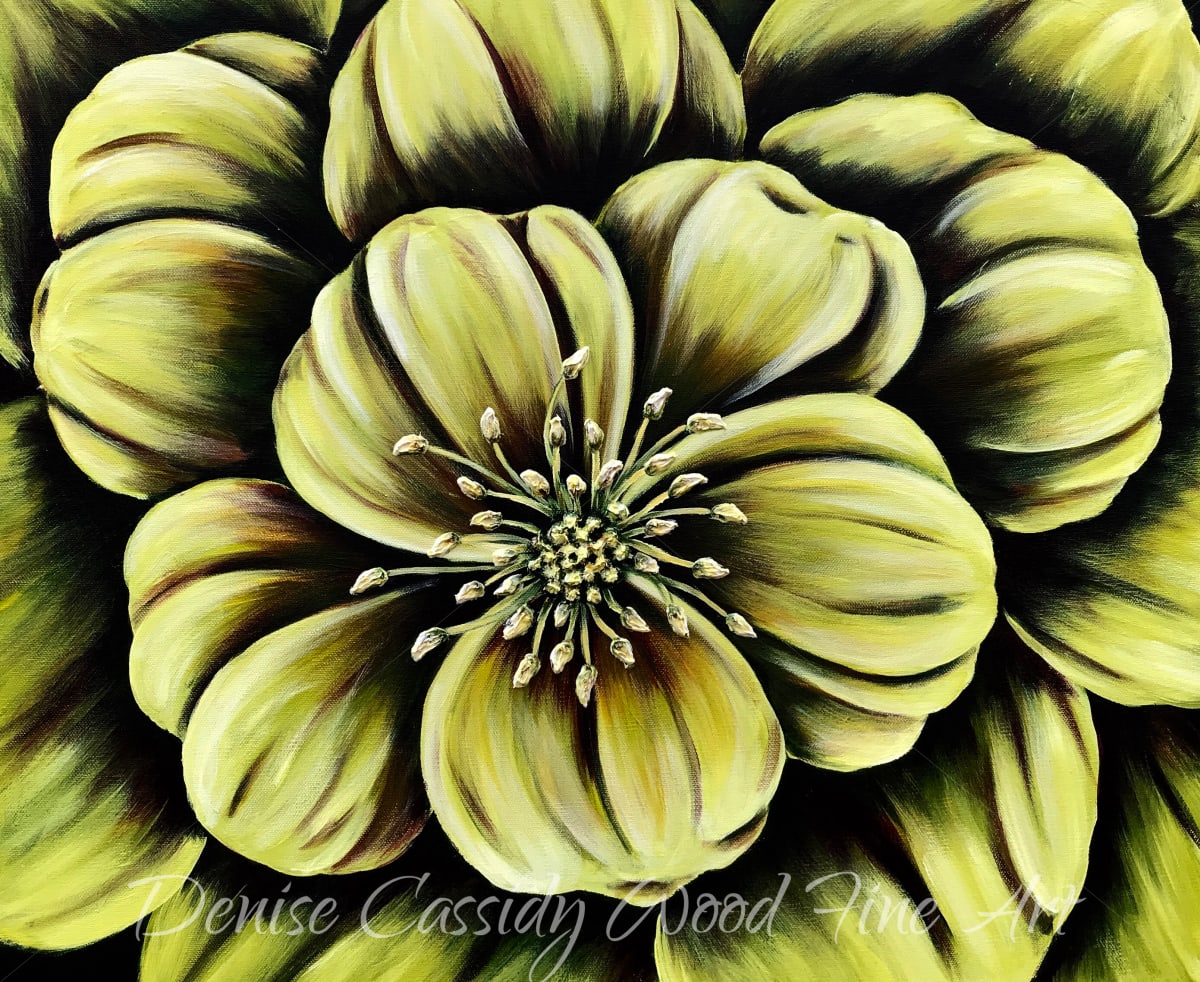 Hellebore Flower #592 by Denise Cassidy, Image 1.